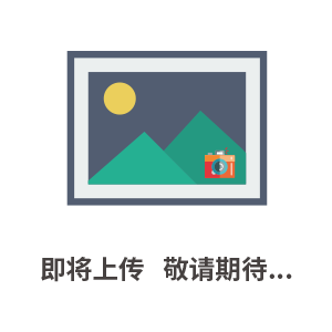 WS 2二硫化タングステン結晶（Tungsten Disulfide）