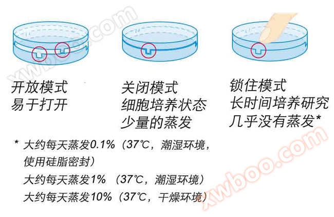 (ibidi) μ - Dish 35 mm Petri Dish-81156 81151 80136 80131 81158
